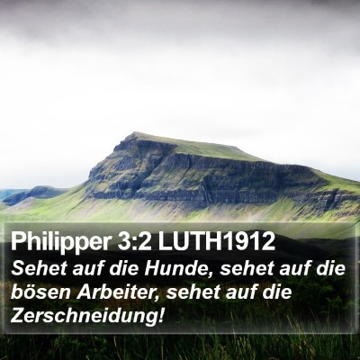 Philipper 3:2 LUTH1912 Bible Verse Image