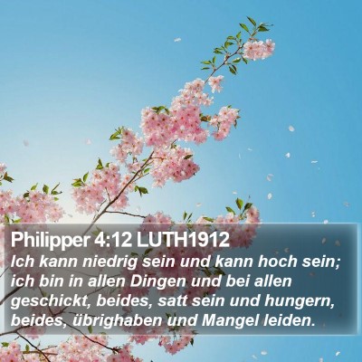 Philipper 4:12 LUTH1912 Bible Verse Image