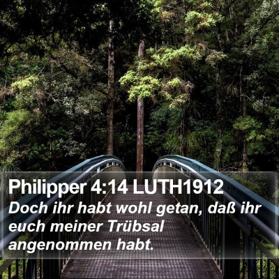 Philipper 4:14 LUTH1912 Bible Verse Image