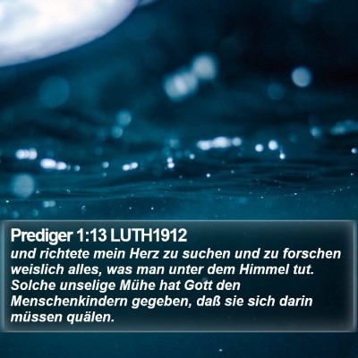 Prediger 1:13 LUTH1912 Bible Verse Image