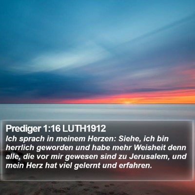 Prediger 1:16 LUTH1912 Bible Verse Image