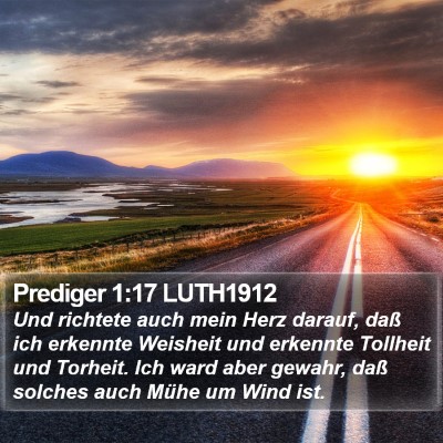 Prediger 1:17 LUTH1912 Bible Verse Image