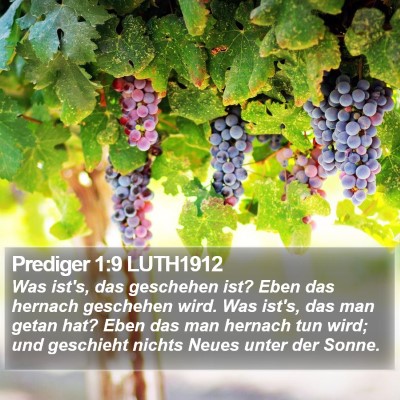 Prediger 1:9 LUTH1912 Bible Verse Image
