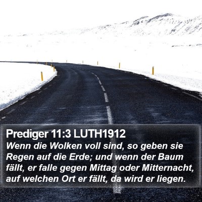 Prediger 11:3 LUTH1912 Bible Verse Image