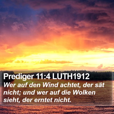 Prediger 11:4 LUTH1912 Bible Verse Image