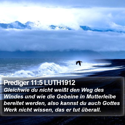 Prediger 11:5 LUTH1912 Bible Verse Image