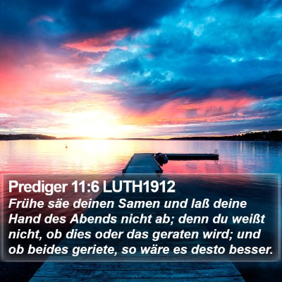Prediger 11:6 LUTH1912 Bible Verse Image