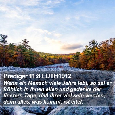 Prediger 11:8 LUTH1912 Bible Verse Image