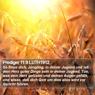Prediger 11:9 LUTH1912 Bible Verse Image