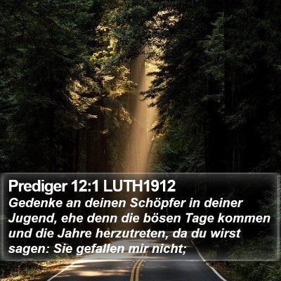 Prediger 12:1 LUTH1912 Bible Verse Image