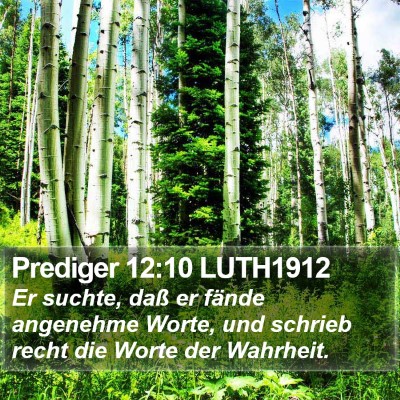 Prediger 12:10 LUTH1912 Bible Verse Image