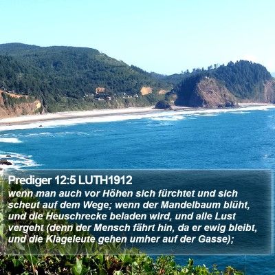 Prediger 12:5 LUTH1912 Bible Verse Image