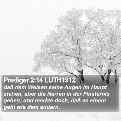 Prediger 2:14 LUTH1912 Bible Verse Image
