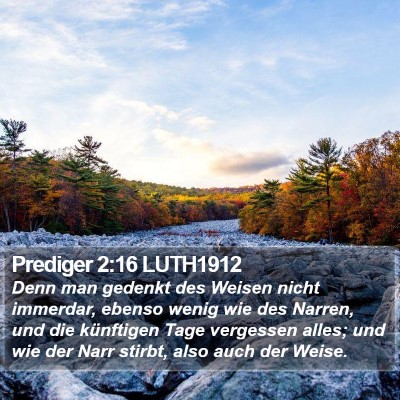 Prediger 2:16 LUTH1912 Bible Verse Image