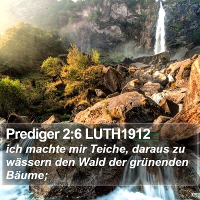 Prediger 2:6 LUTH1912 Bible Verse Image