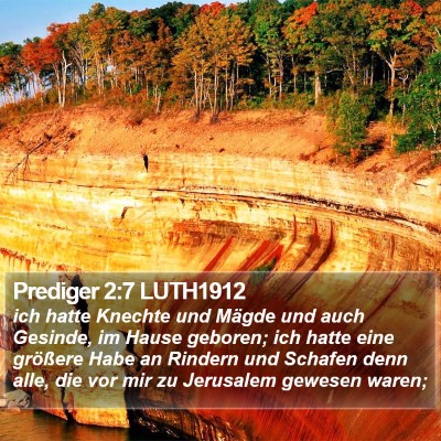 Prediger 2:7 LUTH1912 Bible Verse Image
