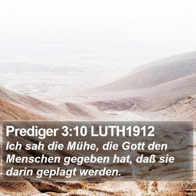 Prediger 3:10 LUTH1912 Bible Verse Image