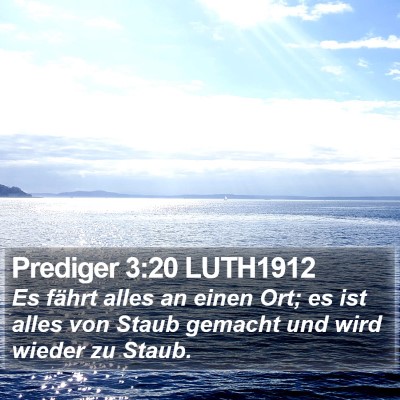 Prediger 3:20 LUTH1912 Bible Verse Image