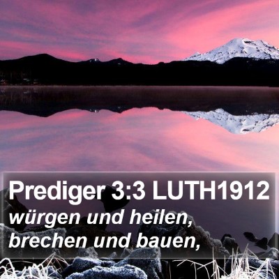 Prediger 3:3 LUTH1912 Bible Verse Image