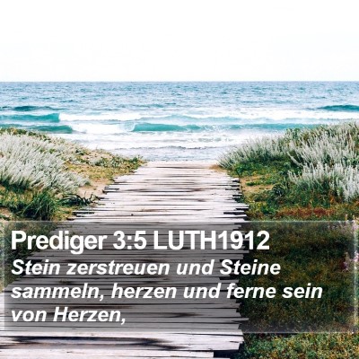 Prediger 3:5 LUTH1912 Bible Verse Image
