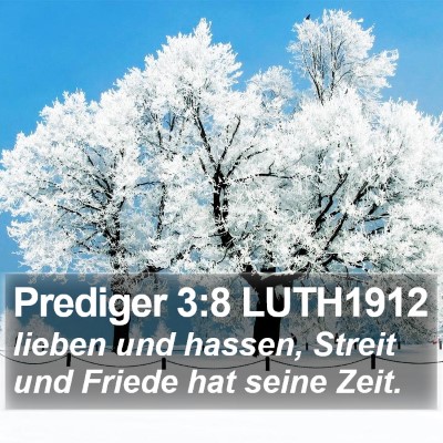 Prediger 3:8 LUTH1912 Bible Verse Image