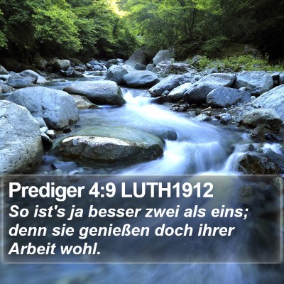 Prediger 4:9 LUTH1912 Bible Verse Image