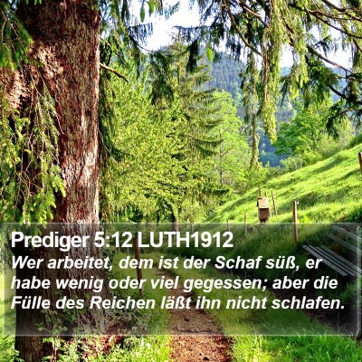 Prediger 5:12 LUTH1912 Bible Verse Image