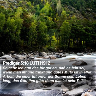 Prediger 5:18 LUTH1912 Bible Verse Image
