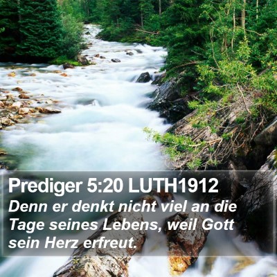 Prediger 5:20 LUTH1912 Bible Verse Image