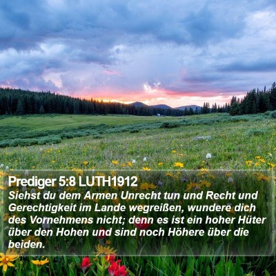 Prediger 5:8 LUTH1912 Bible Verse Image