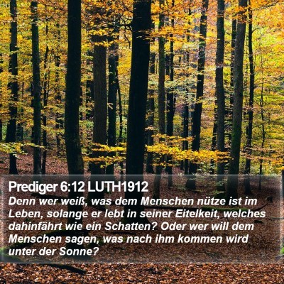 Prediger 6:12 LUTH1912 Bible Verse Image