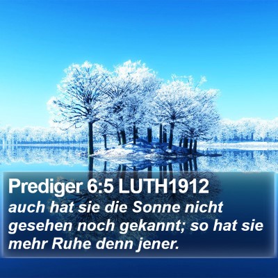 Prediger 6:5 LUTH1912 Bible Verse Image