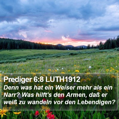 Prediger 6:8 LUTH1912 Bible Verse Image