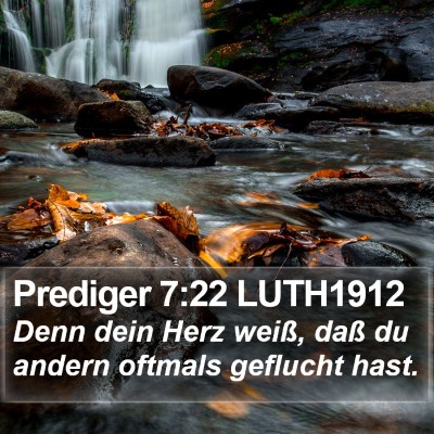 Prediger 7:22 LUTH1912 Bible Verse Image