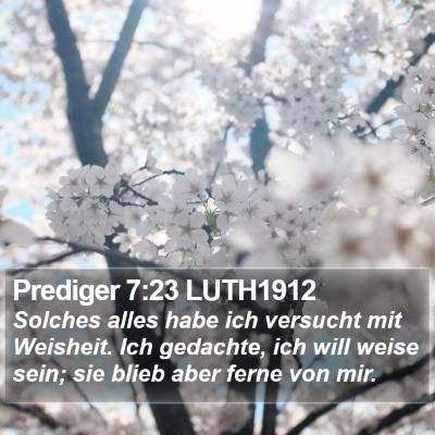 Prediger 7:23 LUTH1912 Bible Verse Image
