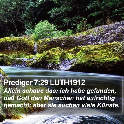 Prediger 7:29 LUTH1912 Bible Verse Image