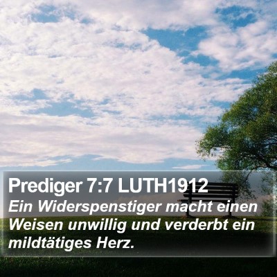 Prediger 7:7 LUTH1912 Bible Verse Image