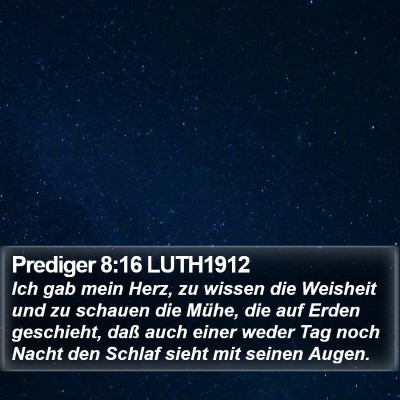Prediger 8:16 LUTH1912 Bible Verse Image