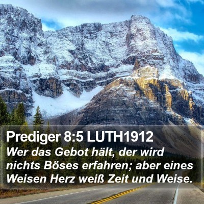 Prediger 8:5 LUTH1912 Bible Verse Image