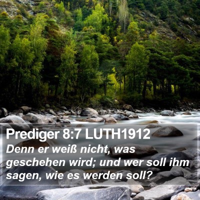 Prediger 8:7 LUTH1912 Bible Verse Image
