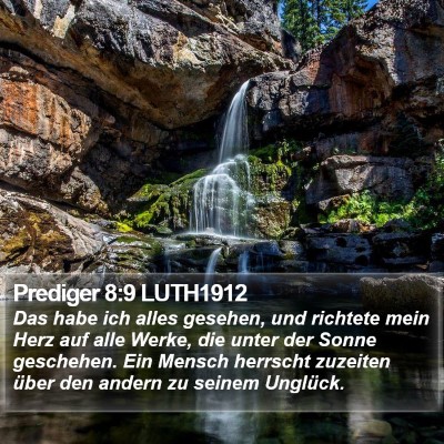Prediger 8:9 LUTH1912 Bible Verse Image