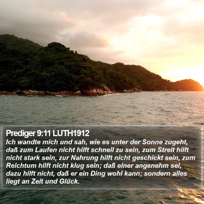 Prediger 9:11 LUTH1912 Bible Verse Image