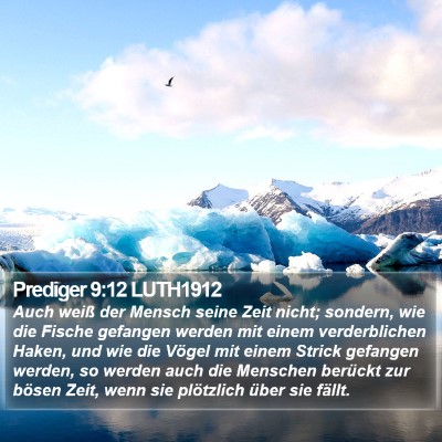 Prediger 9:12 LUTH1912 Bible Verse Image