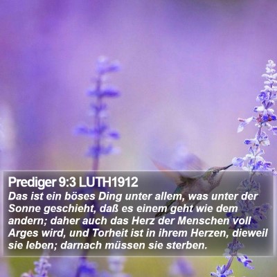 Prediger 9:3 LUTH1912 Bible Verse Image
