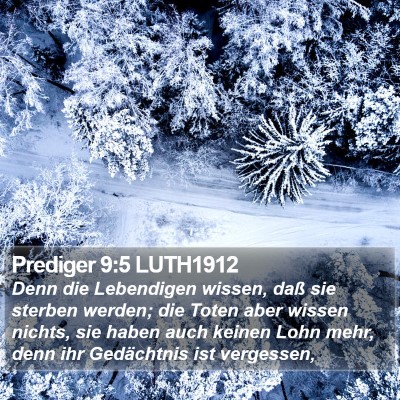 Prediger 9:5 LUTH1912 Bible Verse Image