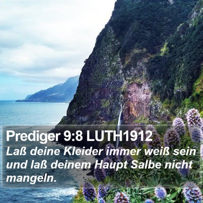 Prediger 9:8 LUTH1912 Bible Verse Image