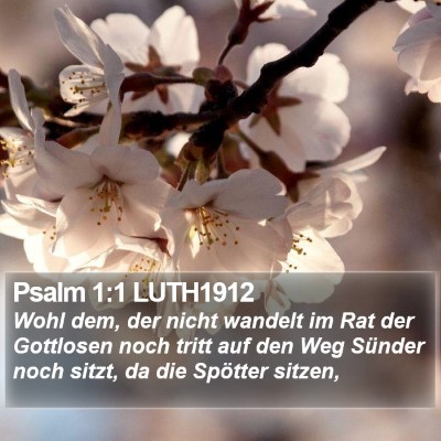 Psalm 1:1 LUTH1912 Bible Verse Image