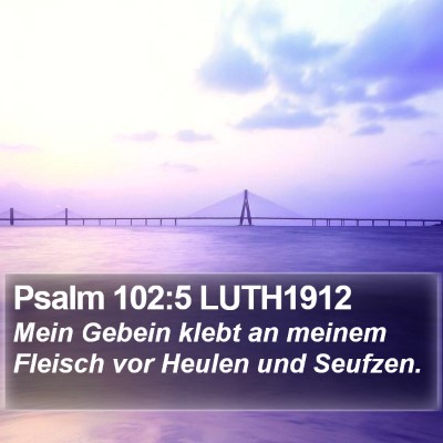 Psalm 102:5 LUTH1912 Bible Verse Image