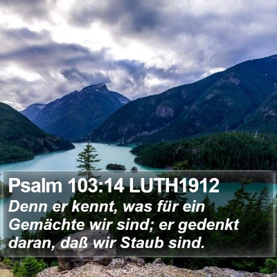 Psalm 103:14 LUTH1912 Bible Verse Image