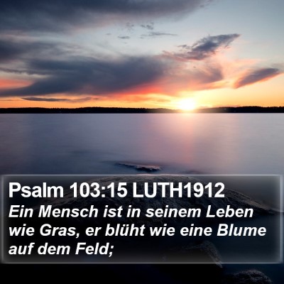 Psalm 103:15 LUTH1912 Bible Verse Image